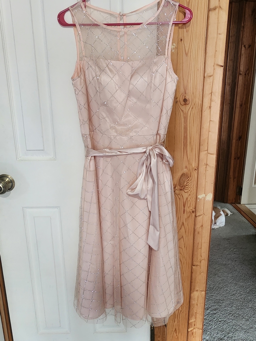 Jessica Howard Blush Pink Sleeveless Mesh A-Line Dress with Waist Tie
